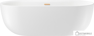 Ванна Wellsee Chic Riviera 170x76 236802004 (отдельностоящая ванна белый глянец, экран, ножки, сифон-автомат золото)