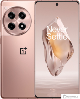 Смартфон OnePlus Ace 3 12GB/256GB китайская версия (бронзовый)